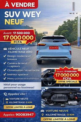 Voiture WEY ( spécial promotion de 3 jours 🥳)